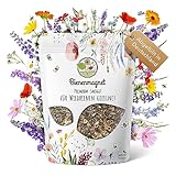 100g Premium Wildblumensamen für eine bunte Blumenwiese - Farbenfrohe & nektarreiche Blumensamen...