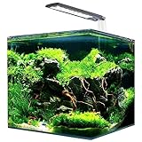 Amtra NANOTANK System 60 - Glasaquarium komplett mit LED-Licht und Filter/cm 38x38x43 / 60 Liter