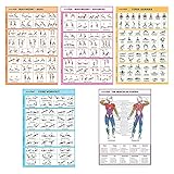 SPORTAXIS laminierte Workout-Poster für daheim ohne Geräte, Farbabbildungen,...