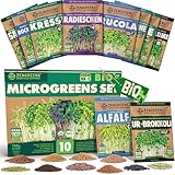 ZenGreens® - Bio Sprossensamen im 10er Set - Keimsprossensamen - für leichte Zucht im Sprossenglas...