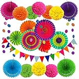 ZERODECO Party Dekoration Papier Pompoms, Aufhängen Fächer, Dreieckige Wimpel und hängende...