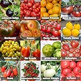 Prademir – Tomatensamen Set aus 16 seltenen & alten Sorten – Tomaten Anzuchtset mit 100%...