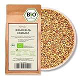 Kamelur 1kg BIO Alfalfa Sprossen Samen – Luzerne Samen BIO, Keimsaat ohne Zusätze – Alfalfa...