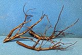 40-45 cm Moorkienwurzel Moorkienholz Garnelenbäumchen Wurzel