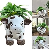 Kuh Geschenke für Kuhliebhaber Highland Cow Töpfe Für Pflanzen Kuh Sukkulenten-Übertopf Harz...