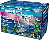JBL BabyHome Oxygen 6432000, Premium-Ablaichkasten, Komplettset mit Luftpumpe, 1 Stück (1er Pack)