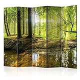 murando Raumteiler Wald Baum Natur Foto Paravent 225x172 cm beidseitig auf Vlies-Leinwand Bedruckt...