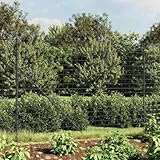 Iiaky Maschendrahtzaun 200cm höhe Maschendrahtzaun komplettset 2x 25m Maschendrahtzaun set...