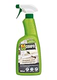 COMPO Ameisen- und Insektenspray, 500 ml, Pfefferminzöl Basis für dezenten Duft im Innenbereich,...
