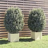 FUDUGEHMIOFWFJJ pflanzkübel 100 Liter,pflanztopf 60 cm,palmen pflanzkübel,Pflanzkübel 2 STK....