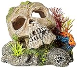 Nobby Aqua Ornaments Totenkopf mit Pflanzen, 13,5 x 13,5 x 10,5 cm, 1 Stück