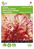 Buzzy Seeds 005128 Schlafmohn Flemish Antique (Mohnsamen)