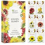 Sonnenblumen Samen Set – Saatgut mit 6 Sorten, inkl. Riesige & Kleine Blüten – Blumen...