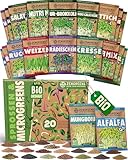 ZenGreens® - Bio Sprossensamen im 20er Set - Keimsprossensamen - leichte Zucht im Sprossenglas oder...