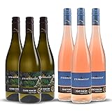 Steinhauser 1828 EDITION Weinpaket 6x 0,75l | 3x Rosé vom See halbtrocken 0,75l + 3x Cuvée vom See...