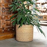 DARO DEKO Seegras Korb rund Natur Ø 19 x 17 mit Einsatz Blumentopf geflochten Aufbewahrungskorb...