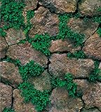 Abziehbare Tapete, selbstklebendes Vinyl-Kontaktpapier für Küche, Backsplash Badezimmer, Wände,...