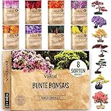 valeaf Bunte Bonsai Samen Set I 8 Sorten Bonsaisamen im Bonsai Starter Kit I Bonsai Set mit Bonsai...