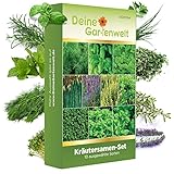 Kräutersamen Set - 10 Sorten Samen - Saatgut Sortiment - Anzuchtset für Küchenkräuter -...