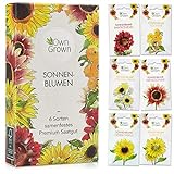 Sonnenblumen Samen Set: Premium Sonnenblumen Saatgut mit 6 Sorten schöner Sommerblumen Samen -...