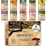 10 Bonsai Samen aus 5 Kontinenten I Exotische Baum Samen für deinen einzigartigen Bonsai Baum I...