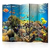 murando Raumteiler Foto Paravent für Kinder 225x172 cm beidseitig auf Vlies-Leinwand Bedruckt...