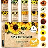 valeaf Sonnenblumen Samen Set - 8 Sorten Sonnenblumensamen - Sonnenblume Blumensamen im praktischen...